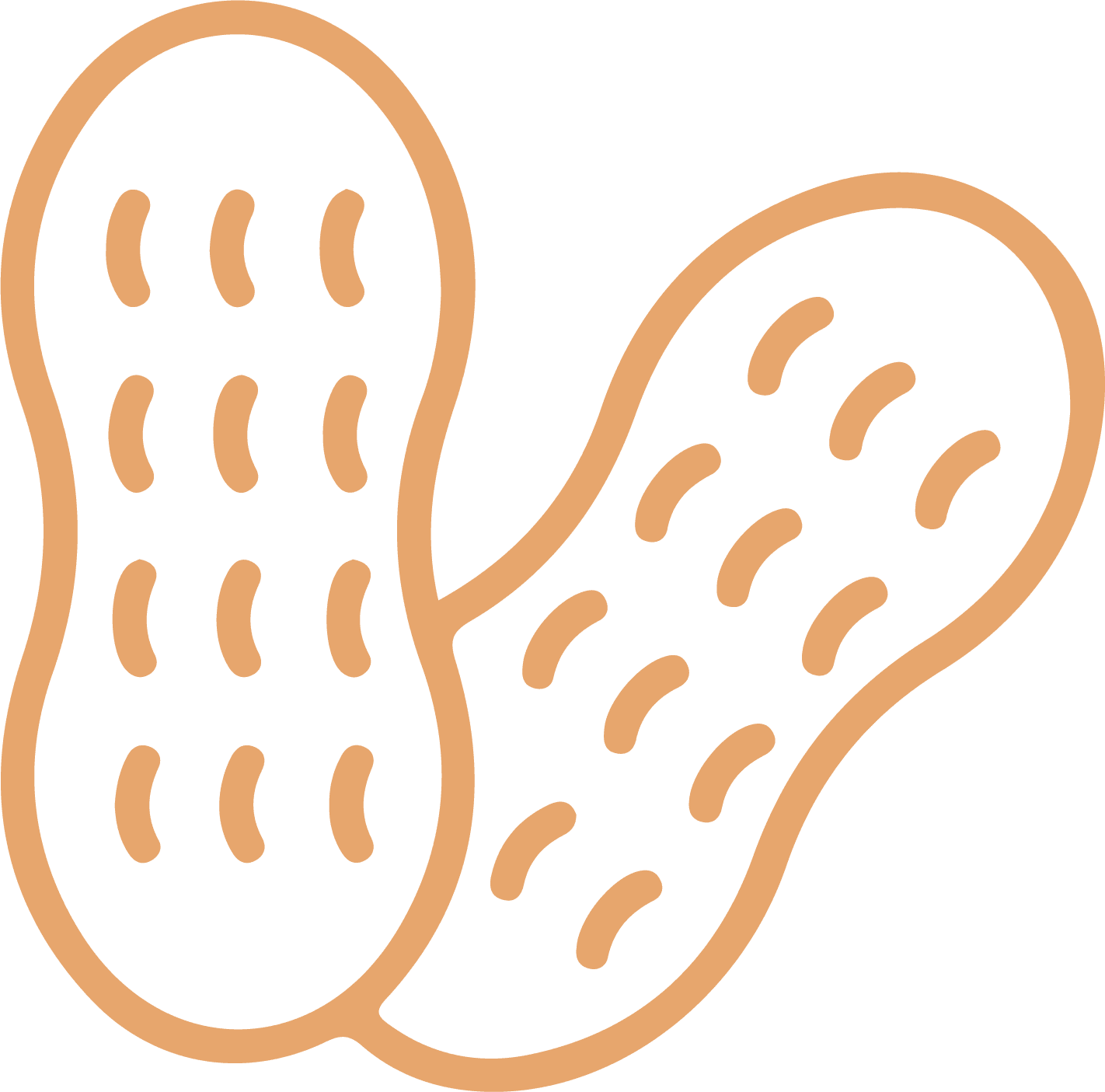 PEANUTS / TREE NUTS